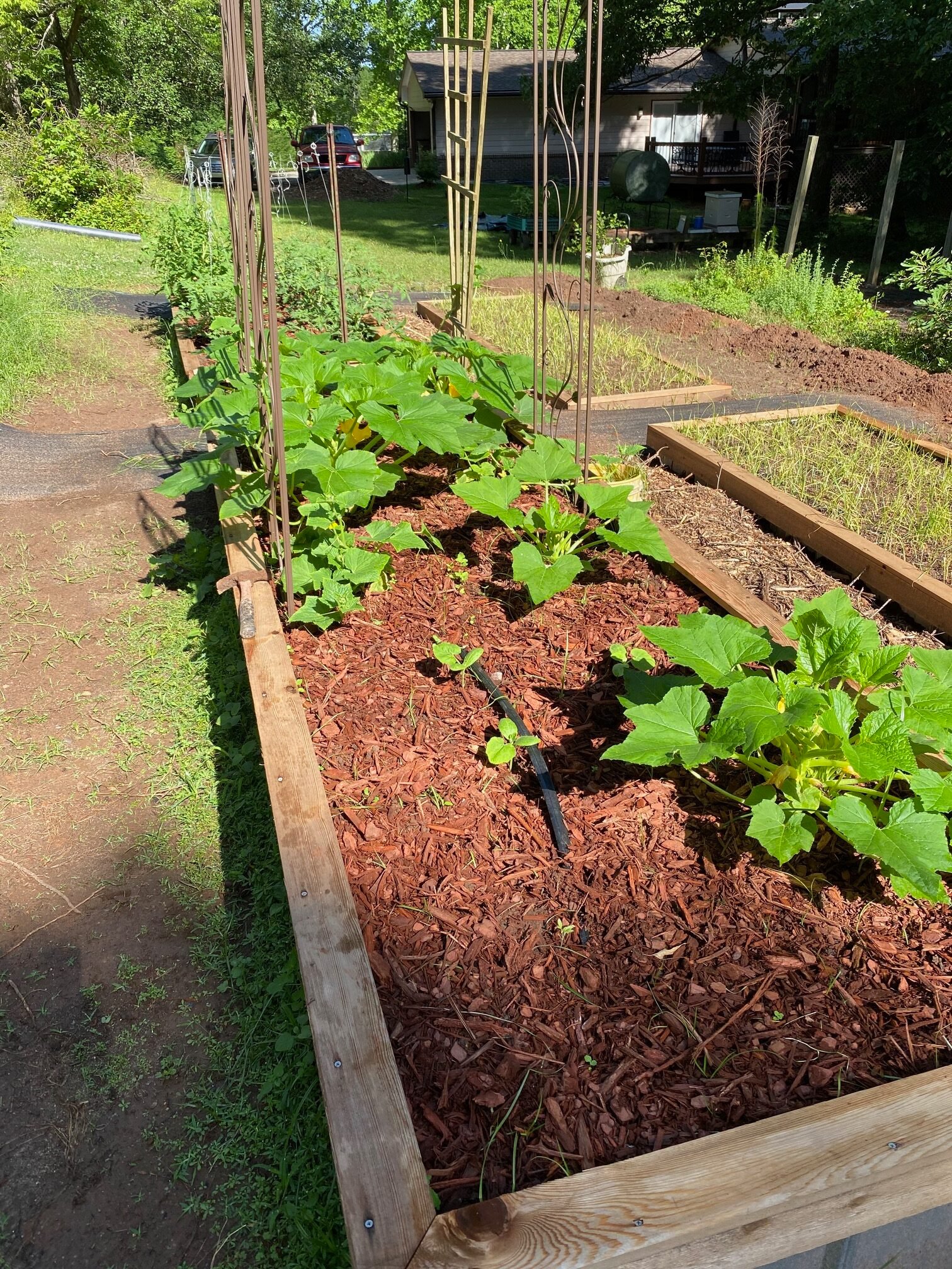 Walts Garden Rotated